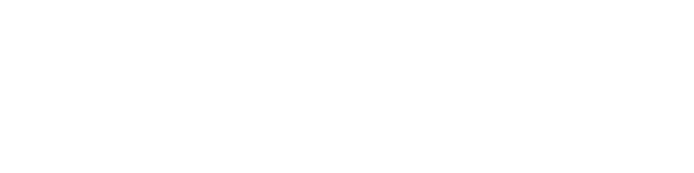 Videx Danmark